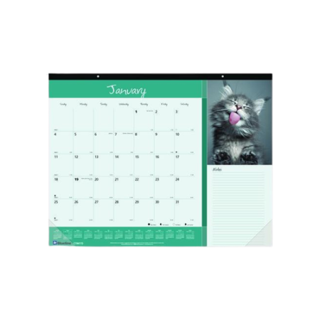 Clear with Color Trim Backpack, 11.5 x 5 x 16.5