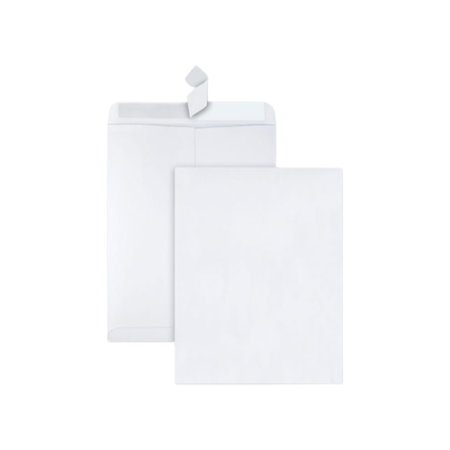 Redi-Strip Catalog Envelope, #13 1/2, Cheese Blade Flap